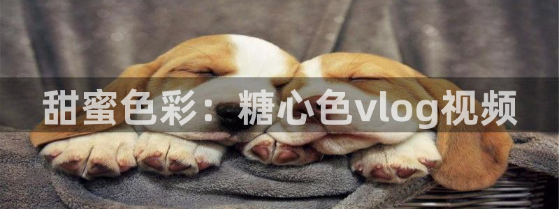 糖心vlog小桃第一页:甜蜜色彩:糖心色