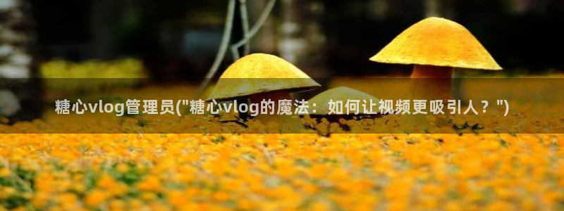 糖心vlog资源下载:糖心vlog管理员