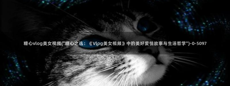 糖心vlog老司机导航:糖心vlog美女