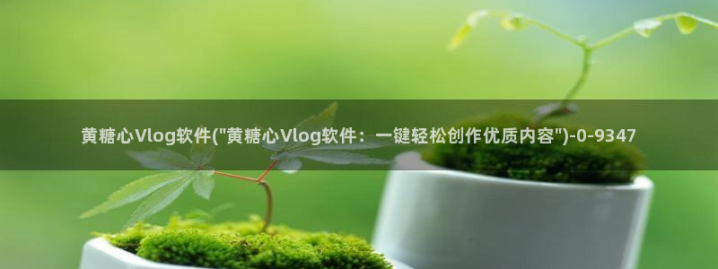 糖心vlog深夜:黄糖心Vlog软件(\