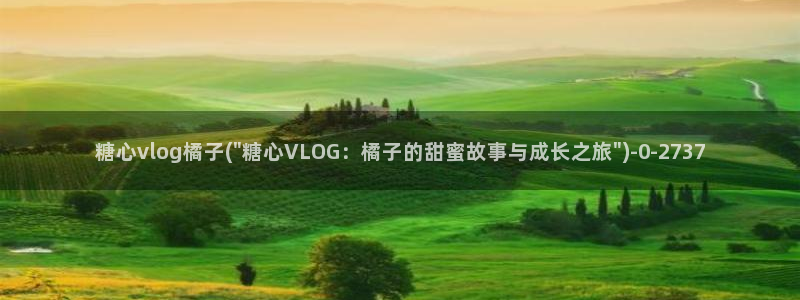 糖心vlog成:糖心vlog橘子(\